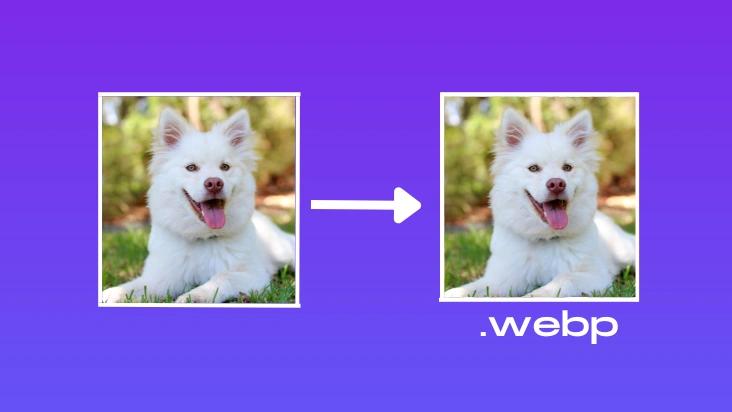 Image Webp Conversion